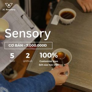 Sensory-coffee
