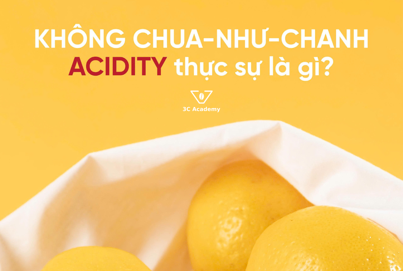 acidity vi chua