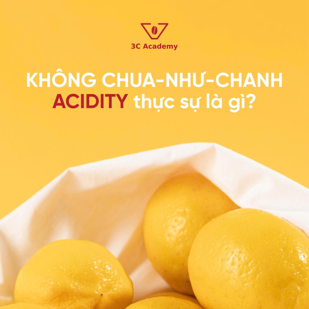 Acidity thực sự là gì