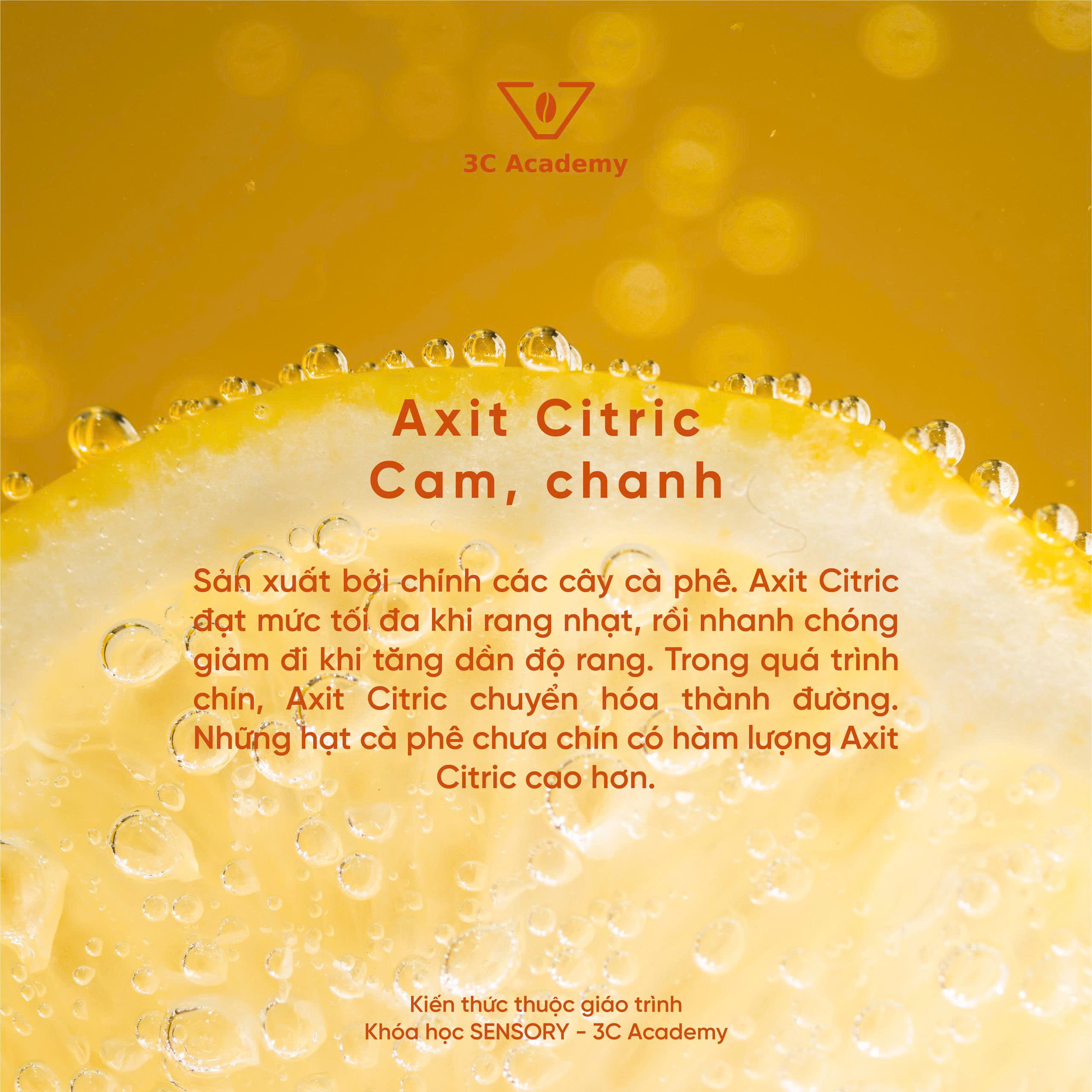axit citric
