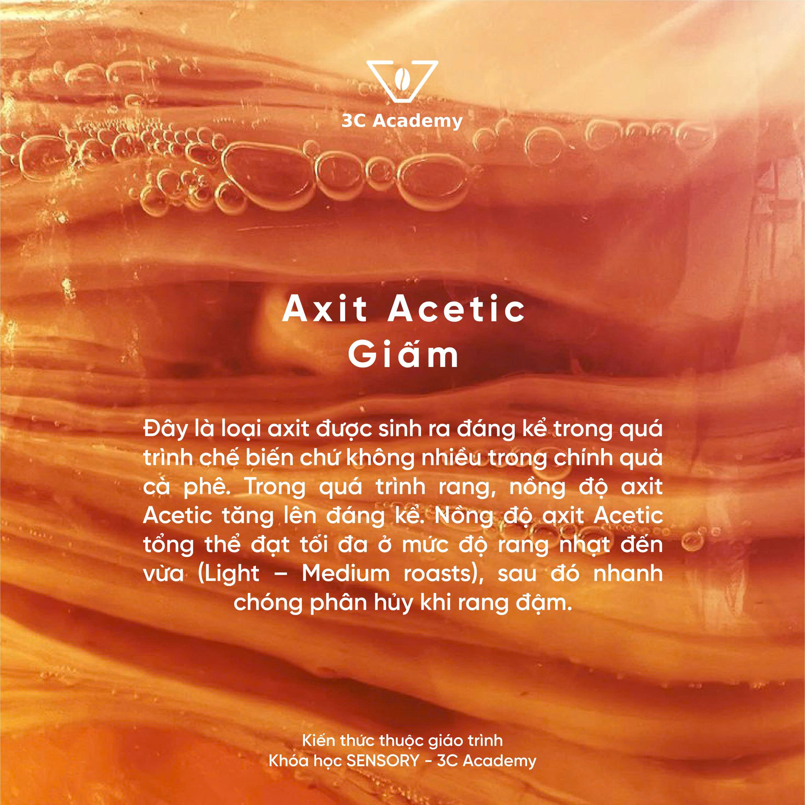 Axit axetic
