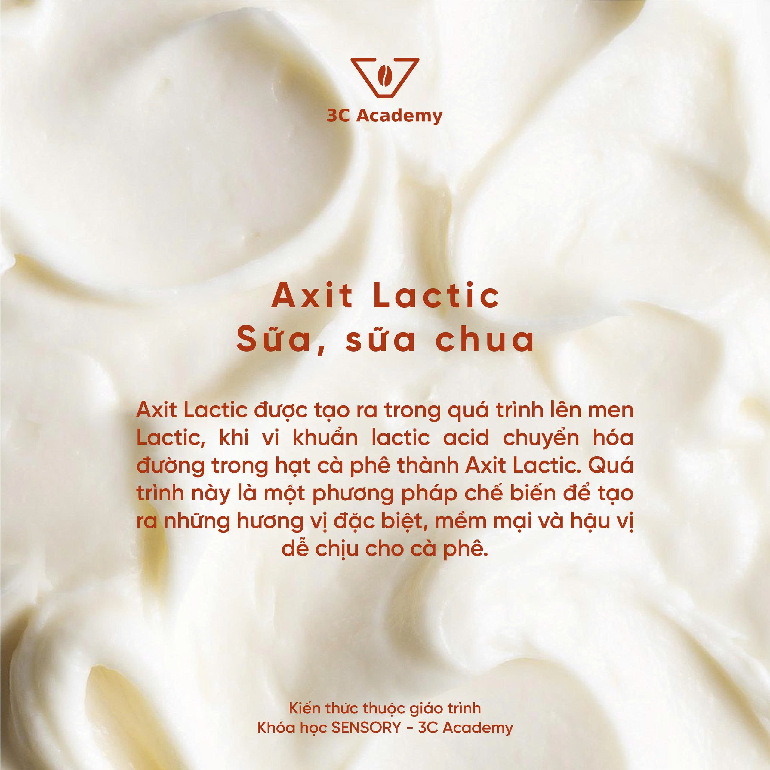 axit lactic
