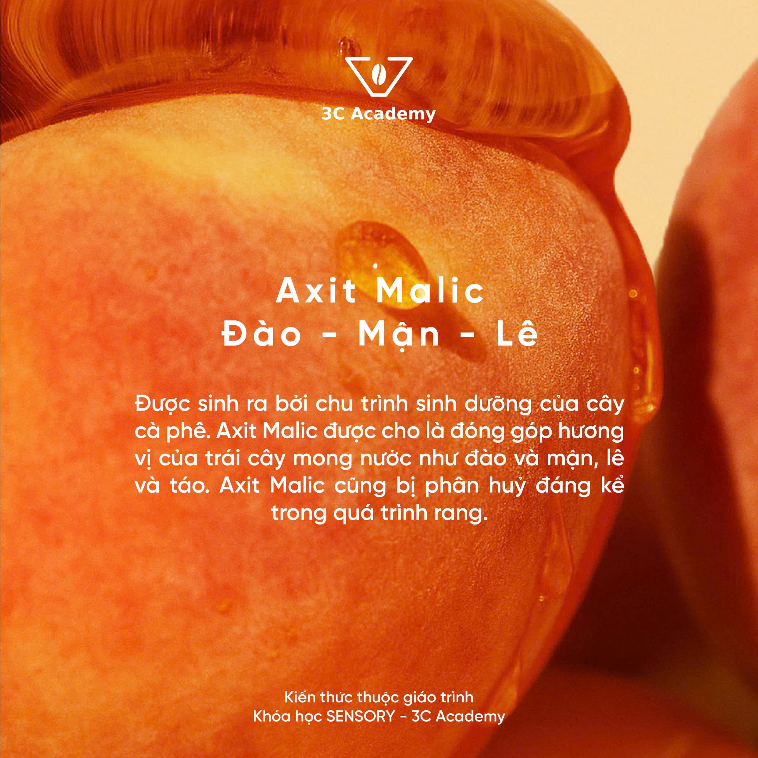 axit-malic